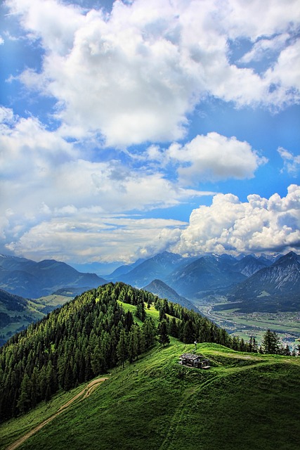 **Mikrofotografia alpejska: Porównanie obiektywów makro – który obiektyw wybrać do fotografowania drobnych roślin wysokogórskich?**